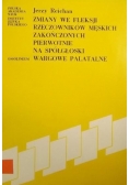Zmiany we fleksji rzeczowników męskich