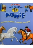 Konie: Co kryją okienka?
