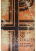 Biblia na co dzień. Komentarz do Ewangelii