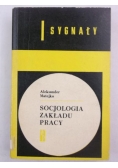 Socjologia zakładu pracy