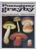 Poznajemy grzyby