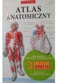 Atlas Anatomiczny