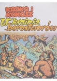 Kajko i Kokosz w krainie borostworów