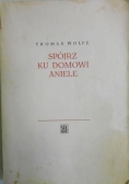 Spójrz ku domowi aniele