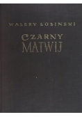 Czarny Matwij