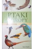 Ptaki Europy przewodnik terenowy
