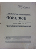 Gołębice, 1904 r.