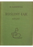 Rośliny łąk atlas