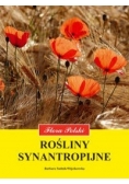 Rośliny synantropijne