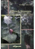 Ułamek istnienia