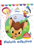 Disney Maluch odkrywa Co kryja okienka?