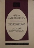 Orzeszkowa. Młodość pozytywizmu