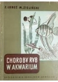 Choroby ryb w akwarium