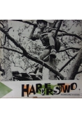 Harcerstwo