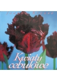 Kwiaty cebulowe