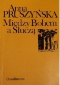 Między Bohem a Słuczą