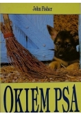 Okiem psa Poradnik psiej psychologii