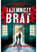 Tajemniczy brat, Nowa