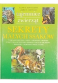 Sekrety małych ssaków