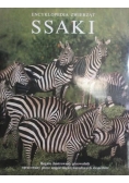 Encyklopedia zwierząt ssaki