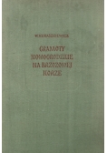 Gramoty Nowogrodzkie na brzozowej korze