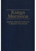 Księga moralna Jeszcze Jedno Świadectwo o Jezusie Chrystusie