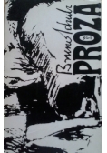 Bruno Schulz Proza