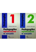 Pedagogika opiekuńcza w zarysie 2 tomy