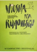 Wiosna na rumowisku