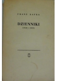 Dzienniki (1910-1925)
