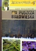 Puszcza Białowieska