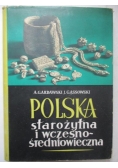 Polska starożytna i wczesnośredniowieczna