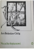 Na ucho łopianowi