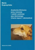 Anatomia kliniczna jamy nosowej