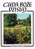 Cuda Bożej dzisiaj