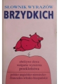 Słownik wyrazów brzydkich