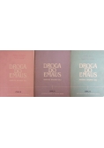 Droga do Emaus, cykl A, B i C