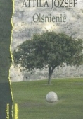 Olśnienie