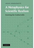A Metaphysics for Scientific Realism
