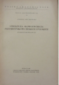 Struktura słowotwórcza przymiotników czeskich i polskich