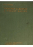 Warunki glebowe a wzrost roślin