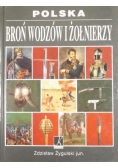 Polska: broń wodzów i żołnierzy