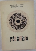 Róża światła
