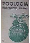 Zoologia przedstrunowce i strunowce