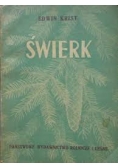 Świerk