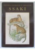 Ssaki