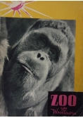 Zoo we Wrocławiu