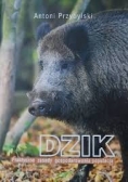 Dzik. Praktyczne zasady gospodarowania populacją