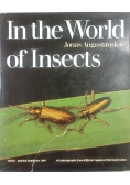 In the Word of Insects