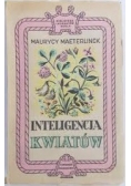 Inteligencja kwiatów, 1948 r.